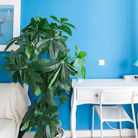 Mirador Sunrise מספאלומס